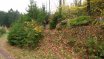 2017-10-26 Best of Braunberg MTB-Tour
