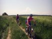 2008-06-01 Brucknerrunde