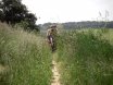 2008-06-01 Brucknerrunde