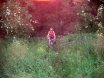 2008-06-01 Brucknerrunde