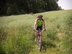2008-06-01 Brucknerrunde
