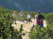 2005-10-29 Hoher Nock