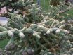 2012-11-22 Kesselheisse