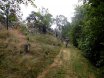 2014-06-21 Pandurensteig