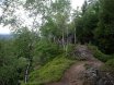 2014-06-21 Pandurensteig