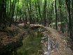 2010-09-18 Eifelcross