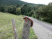 2010-09-18 Eifelcross