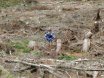 2010-09-18 Eifelcross