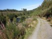 2010-09-18 Eifelcross