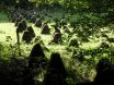 2010-09-18 Eifelcross