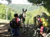 2010-09-18 Eifelcross