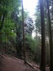 2010-09-18 Eifelcross