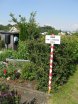 2012-07-27 Sommerfest