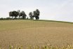 2015-09-13 Einzelzeitfahren
